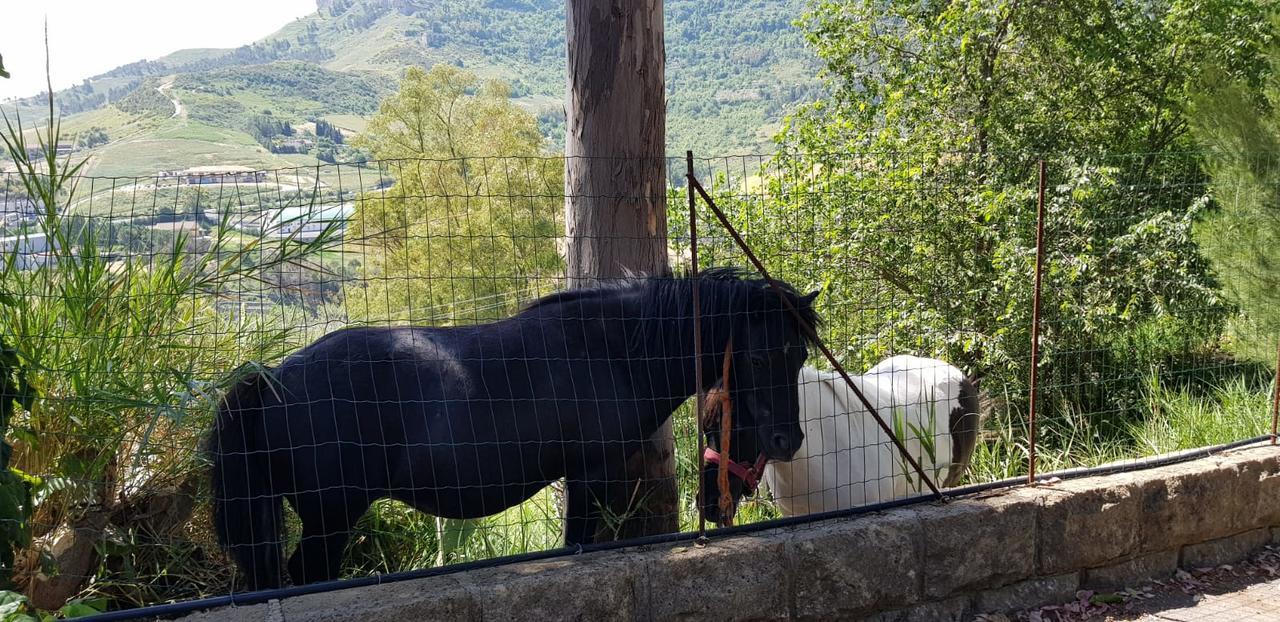 B&B Da Pietro Calascibetta エクステリア 写真
